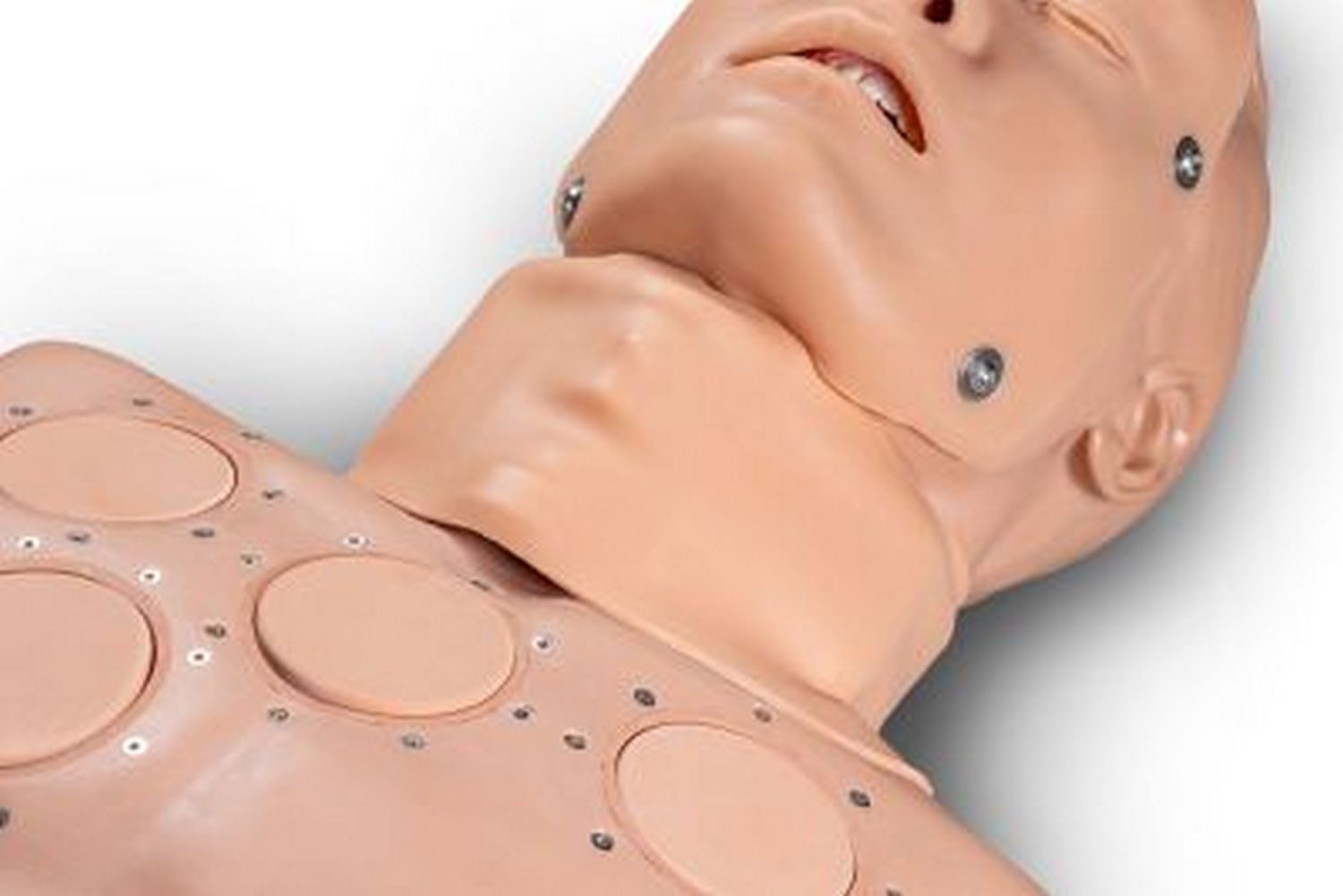 Erler Zimmer Crico Curt Koniotomie Task Trainer mit umschnallbarer Halsaufsatz