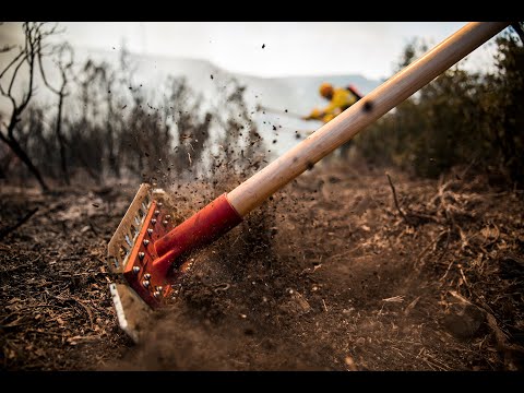 Dönges® GORGUI V2 Waldbrand-Werkzeug / Waldbrandrechen by Vallfirest