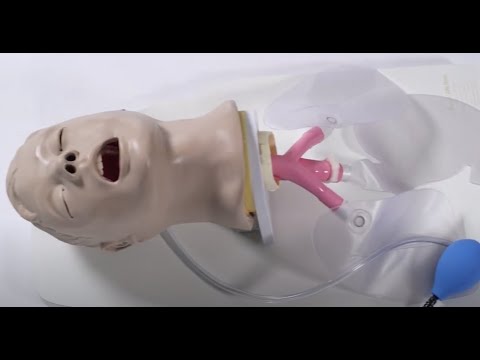 Life/form® Atemwegstrainer Airway Larry mit Ständer | Intubationstrainer Erwachsener